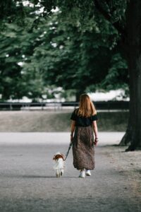 woman, dog, walk-7308033.jpg